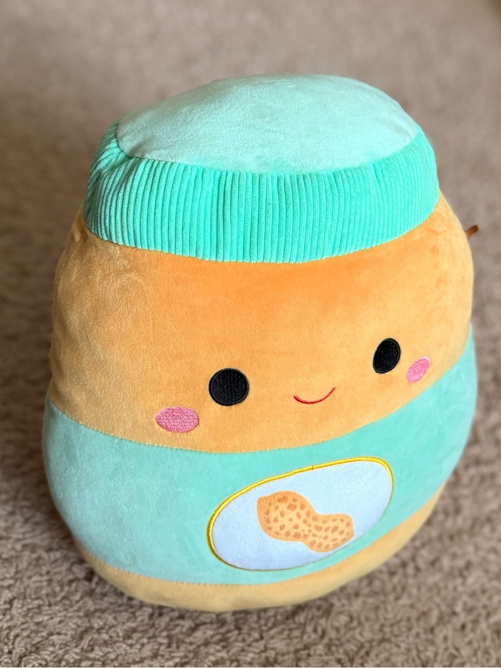 Squishmallows Mint and Peach Peanut Plush